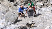 Γυάρος: Μεσογειακή φώκια αφέθηκε στο φυσικό της περιβάλλον μετά από περίθαλψη