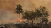 Αργεντινή: Στάχτη εκατ. στρέμματα από γιγαντιαίες πυρκαγιές στα βορειοανατολικά