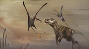 Ανακαλύφθηκε ο βασιλιάς των πτερόσαυρων στο Τζουράσικ Παρκ (βίντεο)