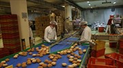 Η Ουκρανία και το ψωμί - «Είδος πολυτελείας» τα βασικά τρόφιμα