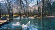 5 πανέμορφα πάρκα στην Ελλάδα