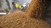 Σοκ από τον πόλεμο στις αγορές σιτηρών και καλαμποκιού
