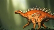 Ανακαλύφθηκε το αρχαιότερο είδος Στεγόσαυρου, ο Μπασανόσαυρος