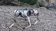 Δείτε το τσιτάχ των ρομπότ εν δράσει (βίντεο)