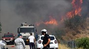 Μεσσηνία: Αγροτοδασική πυρκαγιά στον Μελιγαλά