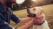 Γονιδιακή θεραπεία της τύφλωσης σε σκύλους δίνει ελπίδες και για τον άνθρωπο