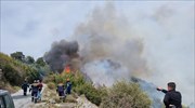 Σάμος: Μεγάλη πυρκαγιά σε δασική έκταση - Εκκενώθηκε το χωριό Βουρλιώτες
