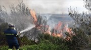 Πάνω από 400 πυρκαγιές σε μία εβδομάδα - Πυροσβεστική: Έκκληση τήρησης των μέτρων καύσης