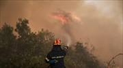 Χαλκιδική: Φωτιά σε δύσβατη περιοχή στη Μόλα Καλύβα
