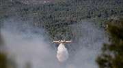 Χαλκιδική: Πυρκαγιά στη Μόλα Καλύβα - Ενισχύονται οι δυνάμεις πυρόσβεσης