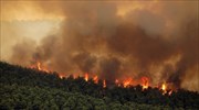 Εκθετική αύξηση των δασικών πυρκαγιών στην Ελλάδα το α΄ τρίμηνο
