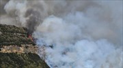 Καρπενήσι: Στις φλόγες δασική έκταση