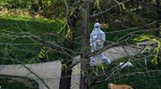 Κίνα: Εθελοντές κινητοποιούνται για να σώσουν τα ζώα συντροφιάς στη Σαγκάη
