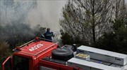 Πυρκαγιά στην Λακωνία: Καλύτερη η εικόνα στον Πάρνωνα - Χωρίς ενεργό μέτωπο