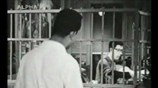 «Μία ζωή την έχουμε»  - Γκουσγκούνης - Χόρν