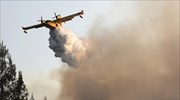 Σαλαμίνα: Στις φλόγες δασική έκταση στο Αιάντειο - Έρευνα για εμπρησμό