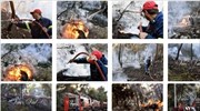 Κόρινθος: Υπό μερικό έλεγχο η δασική πυρκαγιά στις Κεχριές