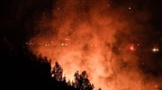 WWF: Γιατί αποτυγχάνει το μοντέλο για την πρόληψη των δασικών πυρκαγιών