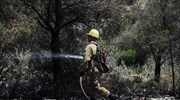 Καματερό: Σε εξέλιξη πυρκαγιά σε δασική έκταση