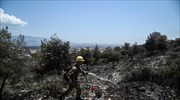 Υπό μερικό έλεγχο η πυρκαγιά σε δασική έκταση στους πρόποδες του Ποικίλου όρους