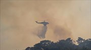 Κορινθία: Δασική πυρκαγιά στο Αμόνι - Επί ποδός και εναέρια μέσα