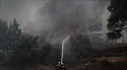 Βόρεια Εύβοια: Δύο εστίες φωτιάς στη Λιχάδα