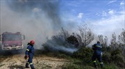 Σε εξέλιξη πυρκαγιά στην Μαγούλα Αττικής