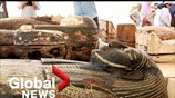 Egypt discovers treasure trove of wooden coffins, bronze statues in ancient necropolis