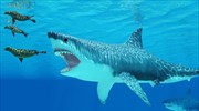 Ο λευκός καρχαρίας αφάνισε τον μεγαλόδοντα από τους ωκεανούς