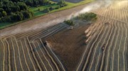 Tο Κίεβο εγκαλεί την Τουρκία ότι αγοράζει σιτάρι που κλέβει η Ρωσία