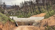 Βόρεια Εύβοια: Πώς προχωρά το σχέδιο στήριξης κι αποκατάστασης ύψους 300 εκατ. ευρώ