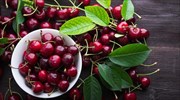 Ποια ελληνικά φρούτα αναδεικνύονται «πρεσβευτές» των ευρωπαϊκών προϊόντων σε ασιατικές αγορές