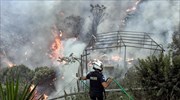 Αλεξανδρούπολη: Στις φλόγες δασική έκταση στο Αετοχώρι