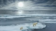 Πολικές αρκούδες προσαρμόστηκαν στο λιώσιμο πάγων