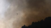 Πυρκαγιά σε χορτολιβαδική έκταση στην περιοχή Γάια Ευβοίας