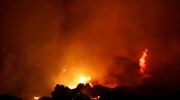 Τουρκία: Δασική πυρκαγιά στα νοτιοδυτικά παράλια ξύπνησε μνήμες  Του περασμένου καλοκαιριού