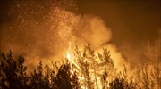Τουρκία: Συνεχίζεται η μάχη με τις φλόγες στην περιοχή της Μαρμαρίδας
