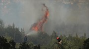 Πυρκαγιά σε δασική έκταση στην Πέλλα