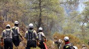 Τουρκία: Συνελήφθη ύποπτος που έβαλε φωτιά σε δάσος της Μαρμαρίδας επειδή τσακώθηκε με συγγενείς του