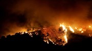 Πυρκαγιά σε δασική έκταση στο Άγιον Όρος