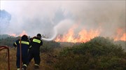 Πυρκαγιά στο Άγιον Όρος: Ενισχύθηκαν οι δυνάμεις πυρόσβεσης