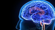 Brainobrain: Όταν τα παιδιά εκπαιδεύονται για να χρησιμοποιούν και τα δύο ημισφαίρια του εγκεφάλου