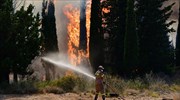 Αγροτοδασική πυρκαγιά στη Ροδόπη - Υψηλός κίνδυνος και στην Αττική την Τετάρτη