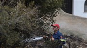 Θεσσαλονίκη: Στις φλόγες χαμηλή βλάστηση στην Περαία