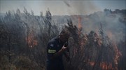 Πυρκαγιές: Πύρινα μέτωπα σε Αρκαδία, Εύβοια - Υπό μερικό έλεγχο σε Θεσσαλονίκη, Ροδόπη