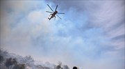 Πυρκαγιές: «Προτεραιότητα η προστασία του πρασίνου της Αττικής», λέει η Περιφέρεια