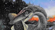 Οι δεινόσαυροι κυριάρχησαν επειδή είχαν «προπονηθεί» στη διαβίωση στο κρύο