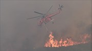 Πυρκαγιές: Εντολή εκκένωσης του Μύτικα Αττικής - Μέτωπο και στο Πικέρμι