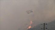 ΠΥ: Συνολικά 378 δασικές πυρκαγιές εκδηλώθηκαν την τελευταία εβδομάδα - 41 το τελευταίο 24ωρο