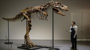Δημοπρασία - έκπληξη για απολίθωμα δεινοσαύρου 76 εκατομμυρίων ετών